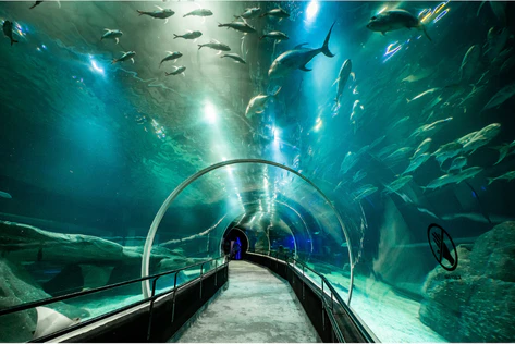 AquaRio Rio de Janeiro