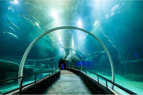 AquaRio Rio de Janeiro